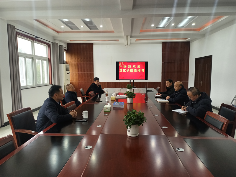 迎江區(qū)政府區(qū)長(zhǎng)汪世平蒞臨我司開展聚力促發(fā)展新春走訪活動(dòng)
